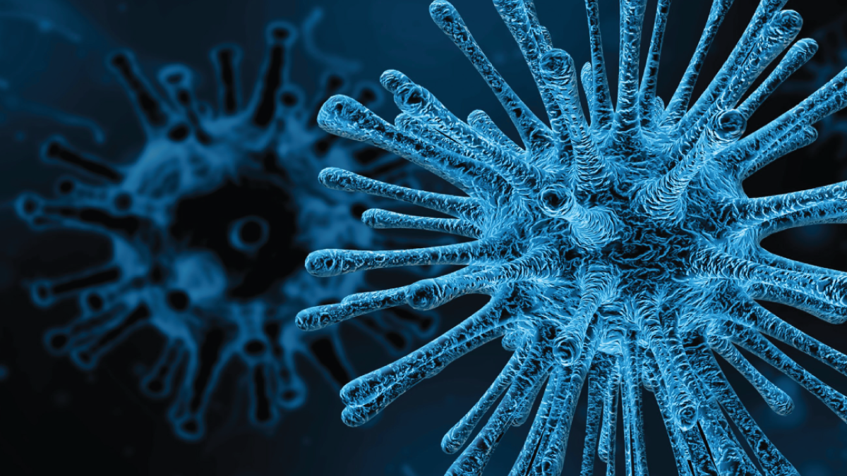 coronavirus coronavirus